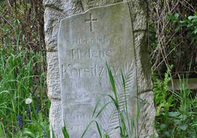 Hřbitov Osoblaha, Omnim, 2017