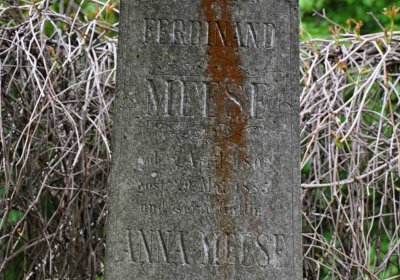 Hřbitov Osoblaha, Omnim, 2017