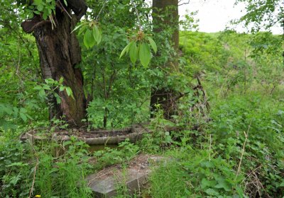 Hřbitov Osoblaha, Omnim, 2017