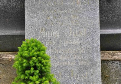 Hřbitov Osoblaha, Omnim, 2017