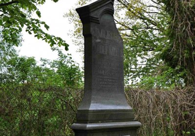 Hřbitov Osoblaha, Omnim, 2017