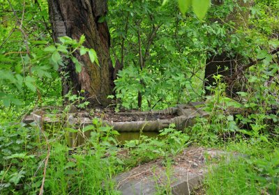 Hřbitov Osoblaha, Omnim, 2017