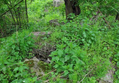 Hřbitov Osoblaha, Omnim, 2017