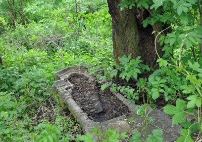 Hřbitov Osoblaha, Omnim, 2017