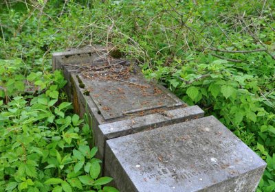 Hřbitov Osoblaha, Omnim, 2017