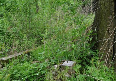 Hřbitov Osoblaha, Omnim, 2017