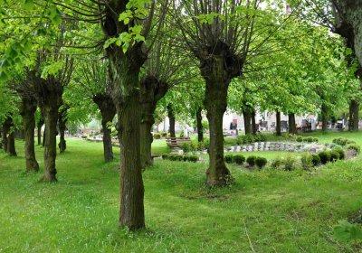 Hřbitov Osoblaha, Omnim, 2017