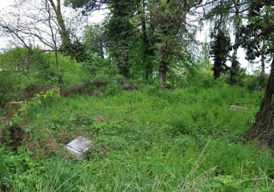 Hřbitov Osoblaha, Omnim, 2017