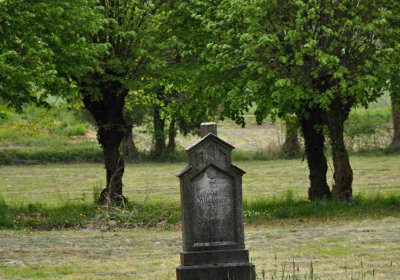 Hřbitov Osoblaha, Omnim, 2017