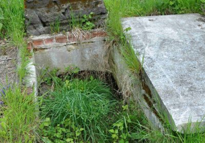 Hřbitov Osoblaha, Omnim, 2017