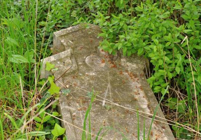 Hřbitov Osoblaha, Omnim, 2017