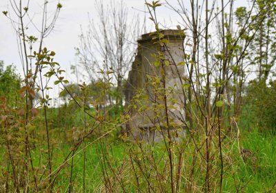 Hřbitov Osoblaha, Omnim, 2017