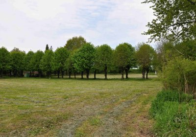 Hřbitov Osoblaha, Omnim, 2017