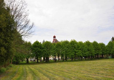 Hřbitov Osoblaha, Omnim, 2017