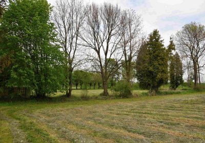 Hřbitov Osoblaha, Omnim, 2017