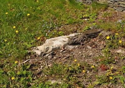 Hřbitov Petrovice, Omnium, 2017