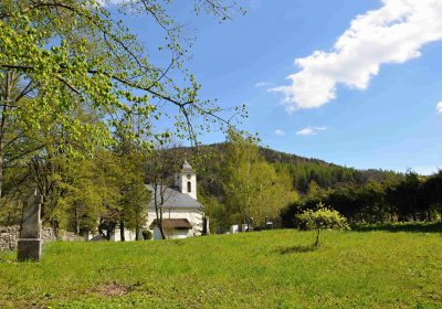 Hřbitov Petrovice, Omnium, 2017