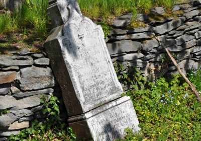 Hřbitov Petrovice, Omnium, 2017