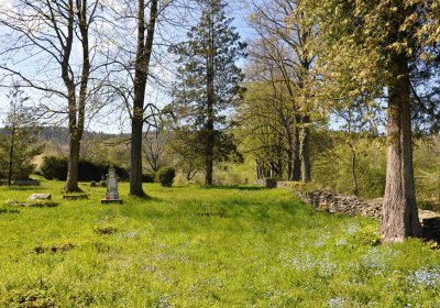 Hřbitov Petrovice, Omnium, 2017