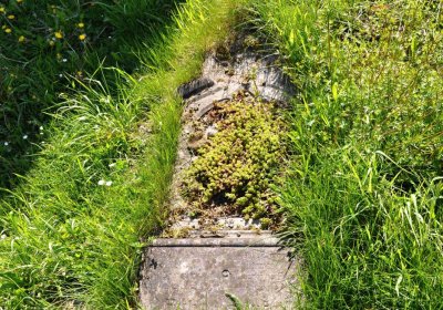 Obecní hřbitov Třemešná, Omnium, 2017