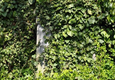 Obecní hřbitov Třemešná, Omnium, 2017