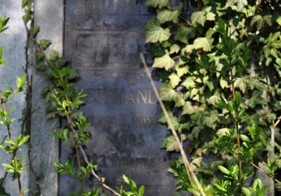 Obecní hřbitov Třemešná, Omnium, 2017