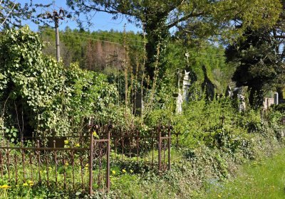 Obecní hřbitov Třemešná, Omnium, 2017