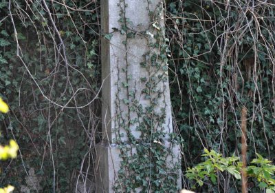 Obecní hřbitov Třemešná, Omnium, 2017