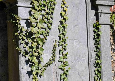 Obecní hřbitov Třemešná, Omnium, 2017