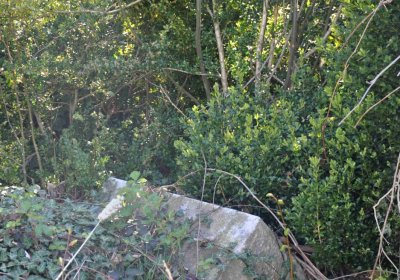 Obecní hřbitov Třemešná, Omnium, 2017