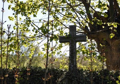 Obecní hřbitov Třemešná, Omnium, 2017