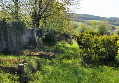 Obecní hřbitov Třemešná, Omnium, 2017