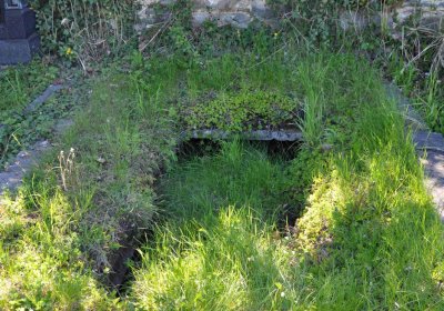 Obecní hřbitov Třemešná, Omnium, 2017