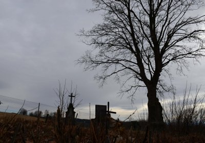 Hřbitov Kozlov, Botos Nikolas, 2017