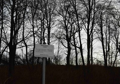 Hřbitov Slavkov u Kozlova, Botos Nikolas, 2017