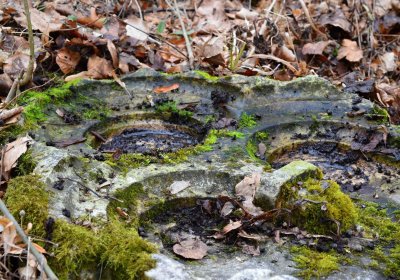 Hřbitov Slavkov u Kozlova, Botos Nikolas, 2017