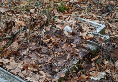 Hřbitov Slavkov u Kozlova, Botos Nikolas, 2017