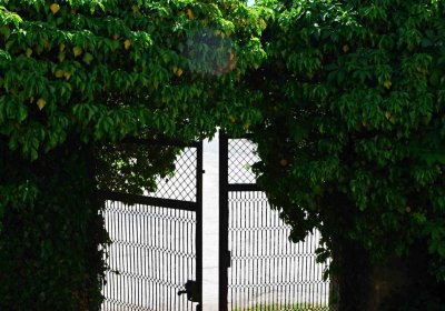 Hřbitov Libošovice, Šimůmek Tomáš, 2017