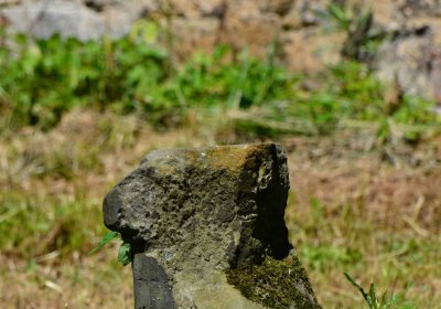 Hřbitov Libošovice, Šimůmek Tomáš, 2017