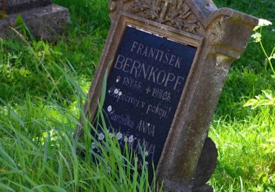 Hřbitov Byšičky u Lázní Bělohrad, Šimůnek Tomáš, 2017