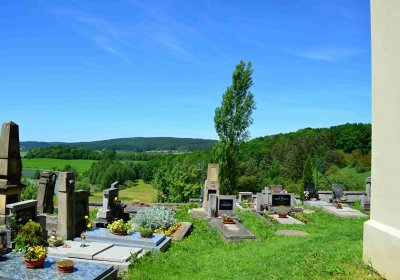 Hřbitov Byšičky u Lázní Bělohrad, Šimůnek Tomáš, 2017