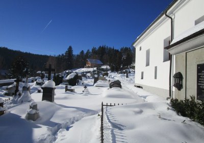 Horní Vltavice, Ocelák Radek, 2016