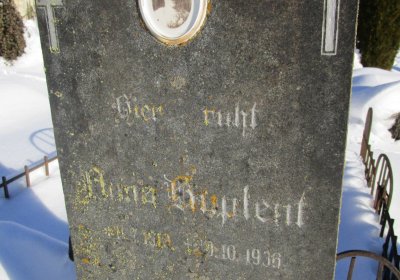 Horní Vltavice, Ocelák Radek, 2016