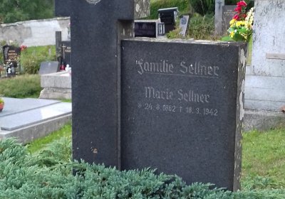 Kmínek Michal, 2019