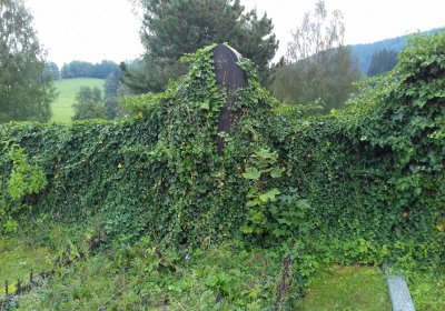 Kmínek Michal, 2019