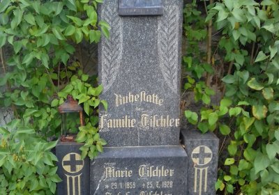 Kmínek Michal, 2019