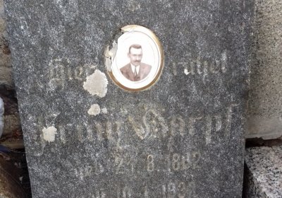 Kmínek Michal, 2019