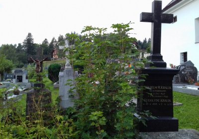 Kmínek Michal, 2019