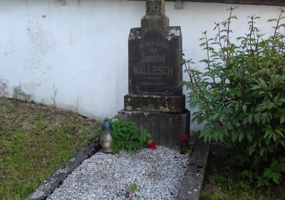 Kmínek Michal, 2019