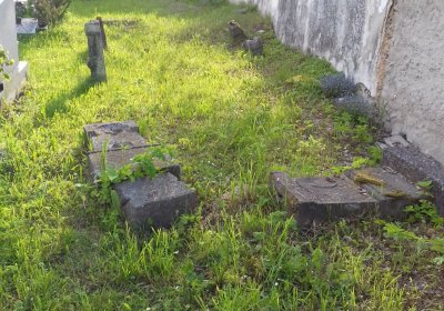 Kmínek Michal, 2019